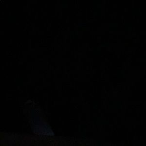 Meet your Posher, Daniella